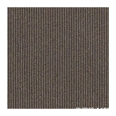 550 ± 5% de carreaux en nylon à boucle de niveau tufté pour bureaux commerciaux et écoles modernes